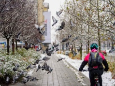 Pogoda na czwartek. Śniegu zdecydowanie mniej