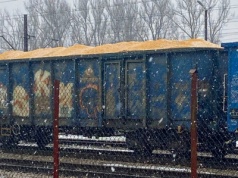 Ludzie alarmują o transportach zgniłej kukurydzy z Ukrainy. Ministerstwo pisze o dezinformacji