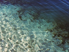 Zdaniem naukowców oceany przechodzą przez bezprecedensowe, głębokie zmiany