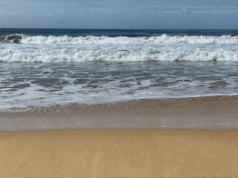 20-latka zginęła po ataku rekina. Druga osoba trafiła do szpitala. Przeżyła dzięki świadkom