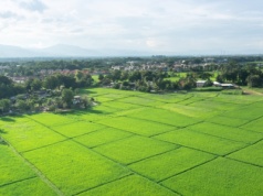 Największe gospodarstwa wśród polityków. Kto ma najwięcej hektarów?