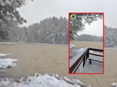 Jezioro walczy z humusem? Woda zamieniła się w brązową maź. 