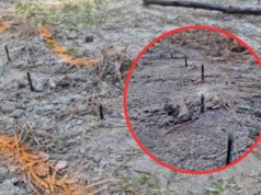 Zabójcza pułapka w lesie. Metalowe ostre wkręty celowo umieszczone w drodze