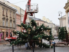 Choinka przed ratuszem już stoi. Wraz z ozdobami rozbłyśnie tydzień wcześniej niż zwykle