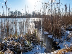 Zielone Orły „Rzeczpospolitej”: Organizacje ekologiczne