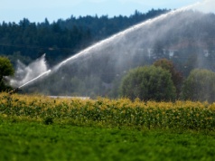 Zużycie wody na świecie szybko rośnie. Skok o 25 procent w ciągu dwóch dekad