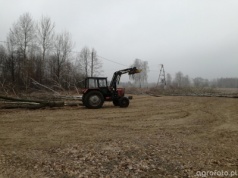 Wycięcie drzewa na działce rolnej. Nawet 34 tys. zł kary za jedno drzewo. Jak ich uniknąć?
