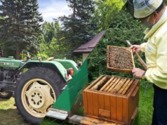 Kończy się czas na wsparcie dla pszczelarzy i premię na rozwój małych gospodarstw