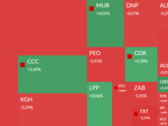 Mapa GPW: banki, CCC, Murapol, Selena i Yarrl w centrum uwagi
