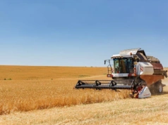 Grupa rolników w IZK: jak dobrać partnerów i jak dzieli się dotację?