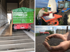 Ceny zbóż w górę, świnie tanieją. Co z cenami bydła i nawozów?