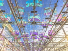 Większy rozmiar owoców dzięki lepszemu wykorzystaniu słońca. Nowości sprzętowe do upraw szklarniowych