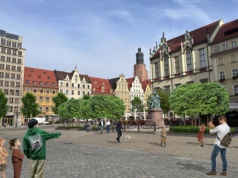 Wrocławski Rynek się zazieleni. W planach ponad 100 drzew oraz 2500 krzewów i bylin.