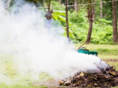 Za palenie gałęzi na działce może być kara. Jak zrobić to bez mandatu?