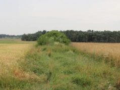 Awantura o miedzę i groźby podpalenia. Jak rolnik ma reagować na agresywnego sąsiada?