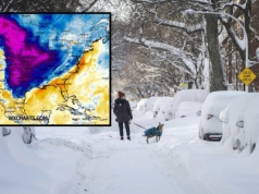 Gwałtowna burza śnieżna w USA. Nadciąga silny mróz, a śnieżyce sparaliżują miasta