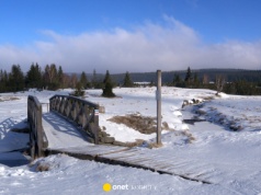 Najzimniejsze miejsce w Polsce kryje się w Sudetach. Nie Suwałki, lecz mała górska polana