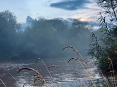 Wędkarz nie miał sobie równych. Złowił ponad tysiąc ryb w ciągu… 5 godzin