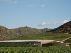 To najlepsza na świecie winnica. Nie leży w Hiszpanii, Francji czy we Włoszech