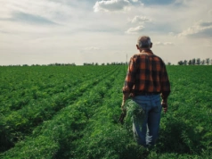 Czy właściciel gospodarstwa może być bezrobotny? Oto haczyk