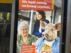 Otyły pasażer z głową świni je w stołecznym autobusie. Fundacja społeczna grzmi na kampanię. 