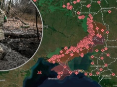 Polacy podzieleni ws. ustępstw Ukrainy. Sondaż odsłania różnice