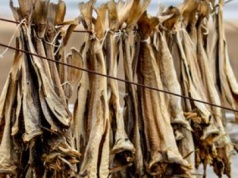 To danie robi furorę w Norwegii na święta. W Polsce większość nie odważyłaby się spróbować