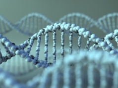 Naukowcy stworzyli czujnik do śledzenia naprawy DNA w żywych komórkach