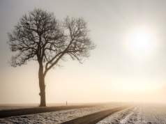 Przed gęstymi mgłami ostrzegają IMGW oraz centra zarządzania kryzysowego!