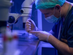 Nawet dwoje dzieci z in vitro w każdej klasie. Niemcy pokazali dane