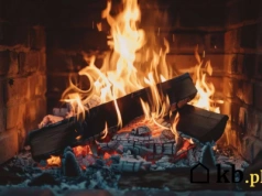 To drewno pali się jak grab, ale kosztuje o połowę mniej. Mało kto je zna!