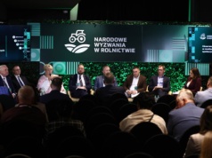 Produkcja wieprzowiny na zakręcie: wyzwania i perspektywy sektora trzody chlewnej