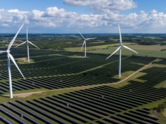 Zielone inwestycje dla pokoleń, czy optymalizacja podatkowa?