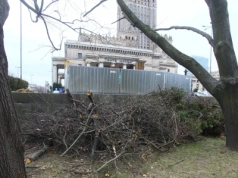 Bójki i alkohol w centrum Warszawy. Tak młodzi Ukraińcy „przejęli” znany park