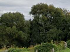 Tragiczny finał poszukiwań 68-latka. Brody