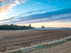 Ponad 11,5 mld zł w zaliczkach już na kontach rolników