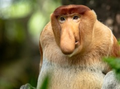 Za darmo to uczciwa cena. Oferta na darmowe gry PC w grudniu i na święta