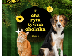 To już 8. edycja akcji #CharytatywnaChoinka – karmimy psiaki