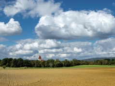 Ponad 205 hektarów do dzierżawy z KOWR. Na złożu węgla brunatnego pod Zgorzelcem