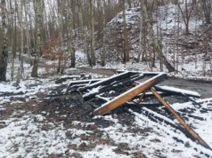 Ktoś podpalił altany w parku w Katowicach. Straty wynoszą kilkadziesiąt tysięcy złotych