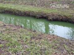 Zielona woda w Potoku Służewieckim zaniepokoiła mieszkańców
