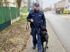 Dąbrowska policja z czworonożnym funkcjonariuszem…