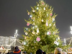 Choinka na katowickim rynku została rozświetlona