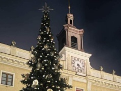 Nowa choinka na ostrowskim Rynku