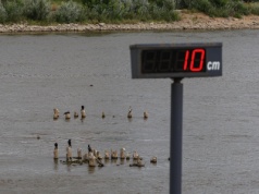 Europa wysycha: Alarmujące dane o zasobach wodnych. Polska ma problem
