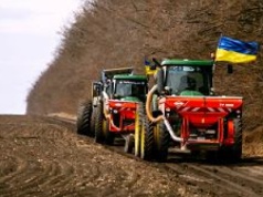 Ukraińcy nas zaorzą? To rolnicza potęga, ale tylko w niektórych dziedzinach. Polski rolnik musi działać już dziś
