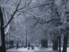 Już wiadomo, jaka będzie pogoda w grudniu. Zima pokaże pazury w drugiej połowie miesiąca?