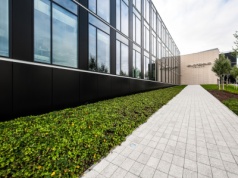 Polski gigant IT poprawia wyniki. Zyskowność rośnie mocniej niż przychody