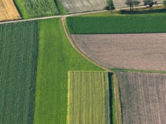 Kolejna pula do wzięcia. Rolnicy, sprawdźcie, jaka ziemia z KOWR trafi na rynek