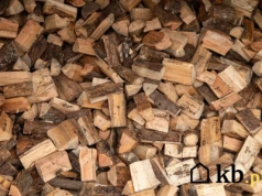 Dlaczego twoje drewno syczy, dymi i nie chce się palić? Winne jest jedno zaniedbanie